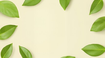 Green Leaves on Beige Background
