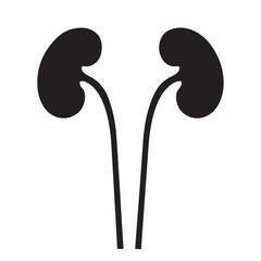 kidney vector