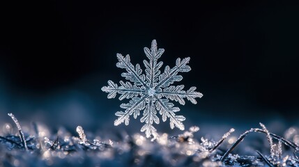 Close-Up View of a Delicate Snowflake with Sparkling Ice Crystals on a Dark Background Evoking Winter and the Beauty of Nature's Unique Designs
