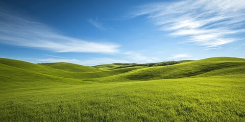 Fototapeta premium A hilly terrain covered in lush greenery under a bright blue sky, inviting exploration and adventure.
