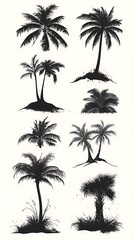 Eight palm tree silhouettes.