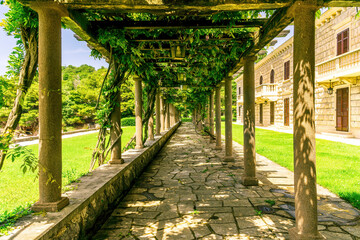 beautiful green gallery of a outdoor park with nice columns and botanic plant decorations of...