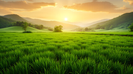 Picturesque View of Lush Green Rice Fields with Misty Assam Hills Under a Golden Sunrise - Rongali Bihu