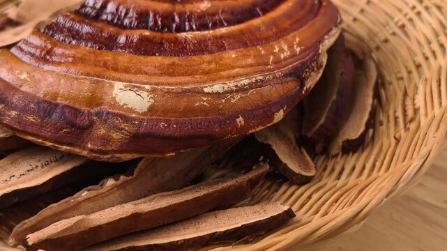 Dried lingzhi mushrooms in a basket