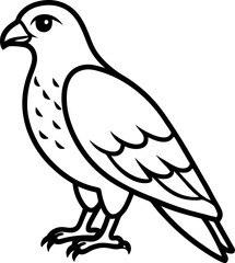 vector illustration of a dove