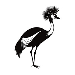 black crowned crane vector illustration 