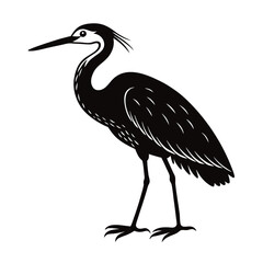 Obraz premium black crowned crane vector illustration 