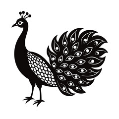 peacock vector illustration