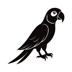 vector illustration of a parrot