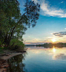 Beautiful lake with a tree in the background