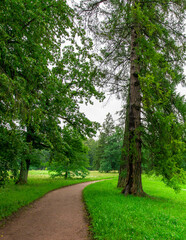 Path in a park with trees and grass