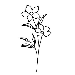 Hand-painted spring flowers