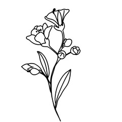 Hand-painted spring flowers