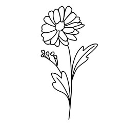 Hand-painted spring flowers