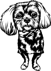 Shih Tzu Dog Breed - Pet Vector Cut file, Dog Silhouette Stencil - Cricut file