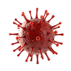 Virus: Structure & Infection isolated on transparent background