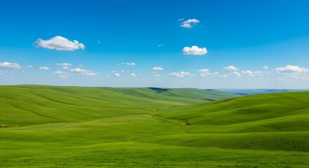 Obraz premium green field and blue sky