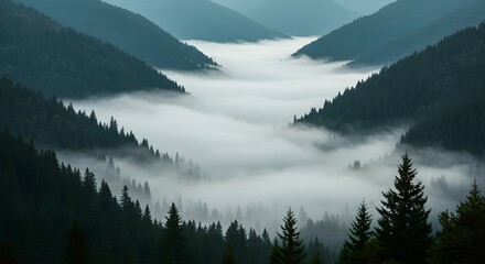 fog in mountains