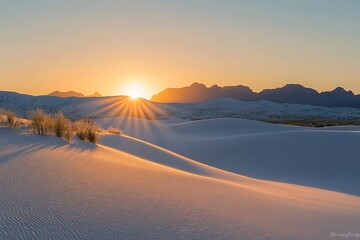 Sunrise over golden sand dunes in the desert creates a breathtaking view of nature's beauty at dawn