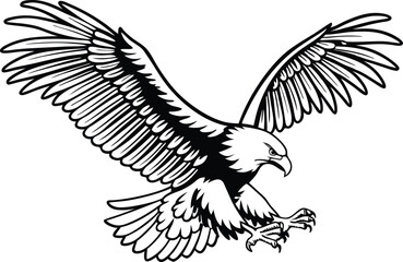 eagle in flight