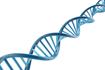 Glowing DNA Helix – A luminous blue double helix spirals, representing genetics, biotechnology, and the mysteries of life’s molecular foundation, isolated on a transparent background