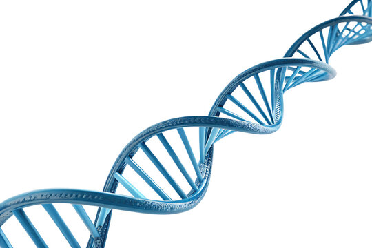 Glowing DNA Helix – A luminous blue double helix spirals, representing genetics, biotechnology, and the mysteries of life’s molecular foundation, isolated on a transparent background
