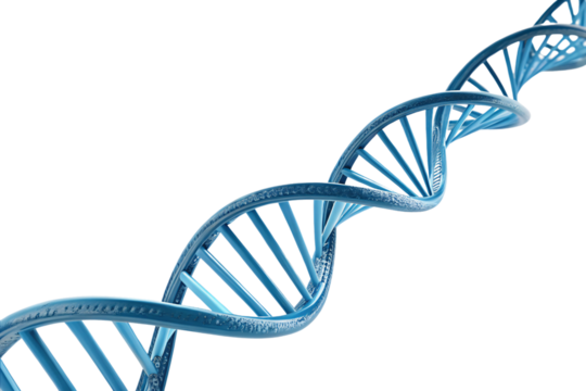 Glowing DNA Helix – A luminous blue double helix spirals, representing genetics, biotechnology, and the mysteries of life’s molecular foundation, isolated on a transparent background