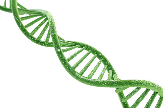 DNA with Water Droplets – A green helix adorned with sparkling droplets, representing biology, evolution, and bio-inspired technology, isolated on a transparent background