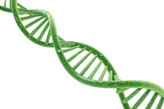 DNA with Water Droplets – A green helix adorned with sparkling droplets, representing biology, evolution, and bio-inspired technology, isolated on a transparent background