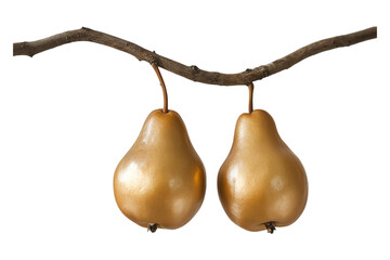 Two Golden Pears Hanging from a Branch with a Transparent Background