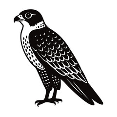 bird of prey vector illustration 