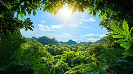 Bright Sunlight Through Lush Green Tropical Forest Canopy
