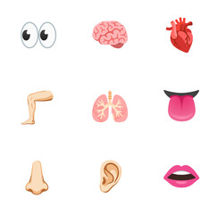 Parts of the human body isolated on white background 