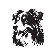 Australian Shepherd Vector Silhouette: High-Quality Dog Illustration, Pet Clipart, Digital Art, Minimalist Australian shepherd Graphic Design.