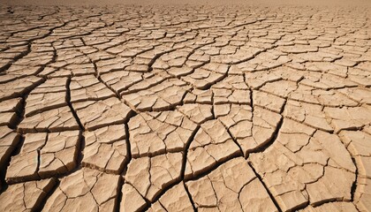 Dried and Cracked Soil Surface in Arid Environment Depicting Water Scarcity
