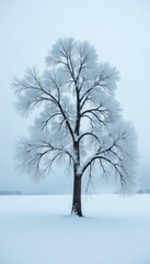 Fototapeta premium Frosted tree branches stretch towards the grey sky, snow-covered, whiteout