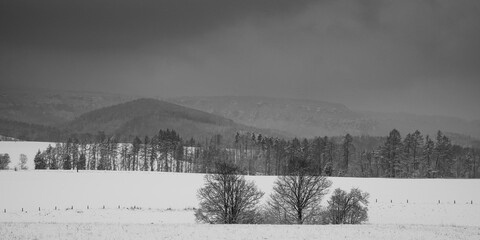 Schneebedecktes Felsengebirge Sächsische Schweiz 2