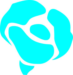 Silhouette of Garden Flowers and Leaves