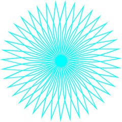 Obraz premium Floral Frame with Silhouette Design