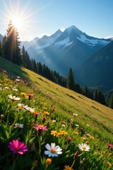 Fototapeta premium Sun-drenched slopes carpeted with wildflowers, Washington state , Washington state, flower, sunshine