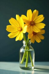 Fototapeta premium Softly glowing yellow cosmos flowers in a glass vase, yellow, nature