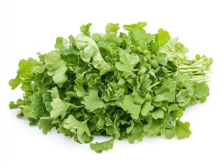 Freshly Harvested Bunch of Watercress with Vibrant Green Leaves