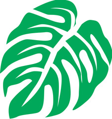 Nature-Themed Monstera Illustration