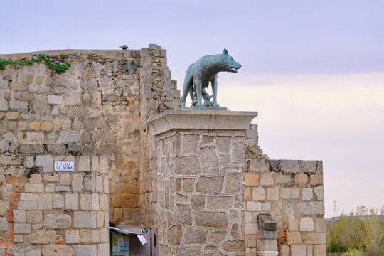 M&eacute;rida, Spain - November 25 2024: The legendary she-wolf (lupa in Latin), who nursed and protected the twins Romulus and Remus, M&eacute;rida, Spain