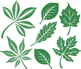 Leaf icons set isolated on white background. Leaf logotype. Vector