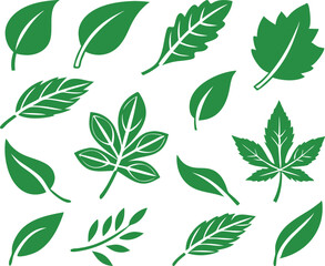 Leaf icons set isolated on white background. Leaf logotype. Vector