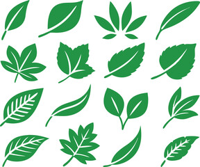 Leaf icons set isolated on white background. Leaf logotype. Vector