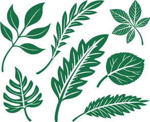 Leaf icons set isolated on white background. Leaf logotype. Vector