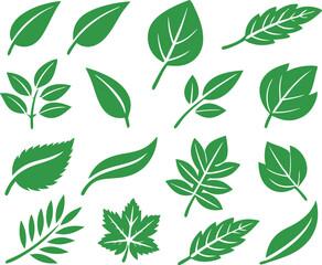 Leaf icons set isolated on white background. Leaf logotype. Vector
