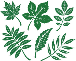 Leaf icons set isolated on white background. Leaf logotype. Vector